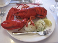 lobster.jpeg